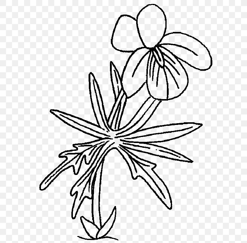 Drawing Floral Design Ludmila Visual Arts Flower, PNG, 600x807px, Drawing, African Violets, Art, Artwork, Black And White Download Free