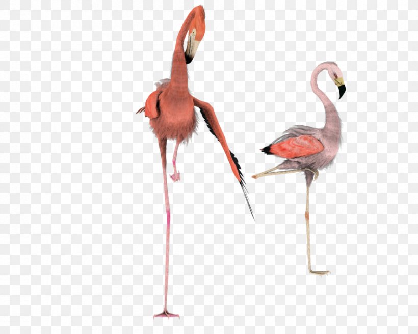 Flamingo Rendering Clip Art, PNG, 900x720px, 3d Computer Graphics, 3d Modeling, Flamingo, Art, Beak Download Free