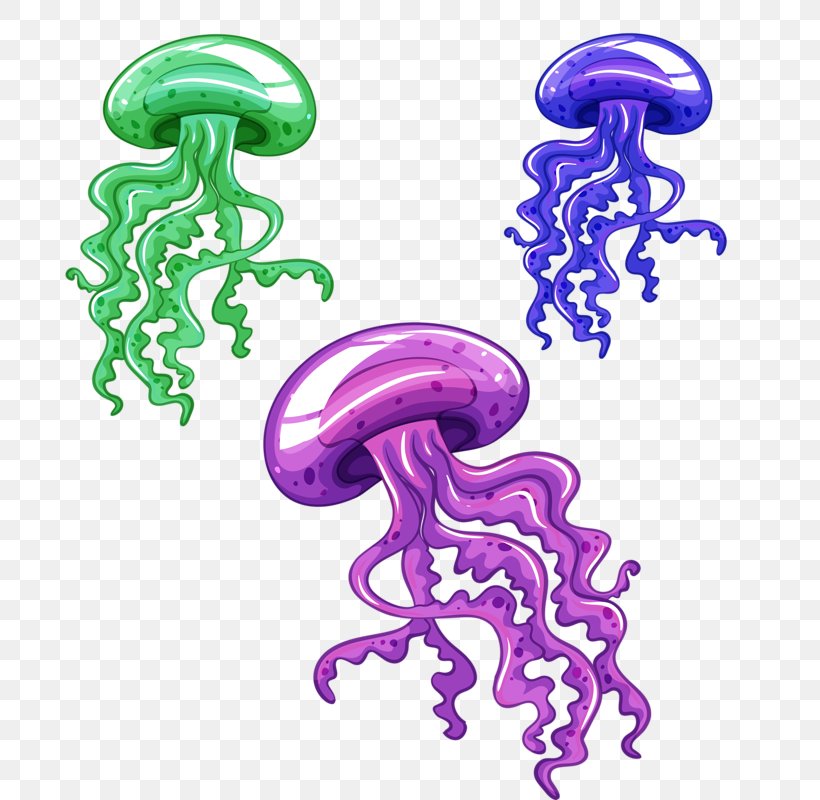 Jellyfish Vector Graphics Clip Art Sea Illustration, PNG, 694x800px, Jellyfish, Aquatic Animal, Body Jewelry, Cartoon, Deep Sea Creature Download Free
