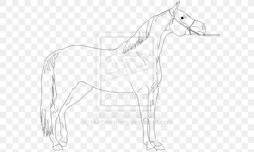 Mule Bridle Foal Stallion Colt, PNG, 600x489px, Mule, Arm, Artwork, Black And White, Bridle Download Free