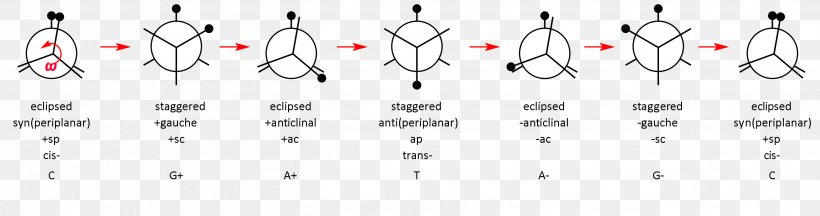 Paper Point Technology White, PNG, 2608x688px, Paper, Area, Black And White, Brand, Diagram Download Free