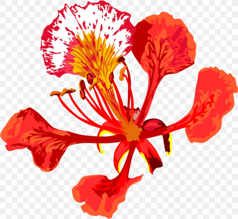 Royal Poinciana Flower Tree Floral Emblem Drawing, PNG, 931x859px, Royal Poinciana, Blossom, Caesalpinia Pulcherrima, Carnation, Cut Flowers Download Free