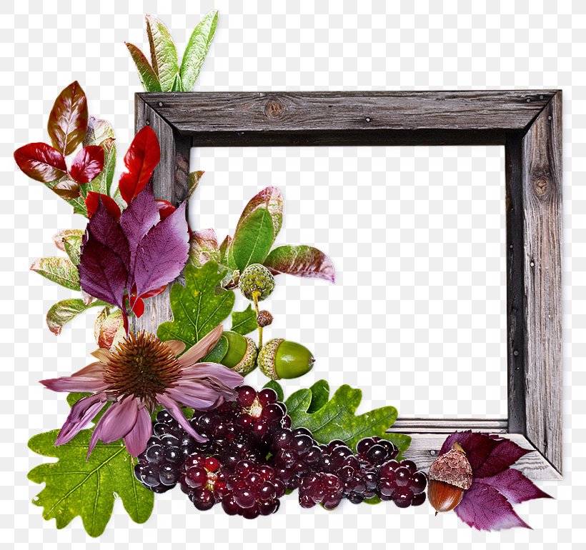 Background Flowers Frame, PNG, 800x770px, Picture Frames, Berry, Blog, Cut Flowers, Drawing Download Free