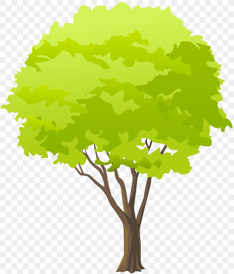 Branch Tree Clip Art, PNG, 6842x8000px, Branch, Forest, Grass, Green, Leaf Download Free