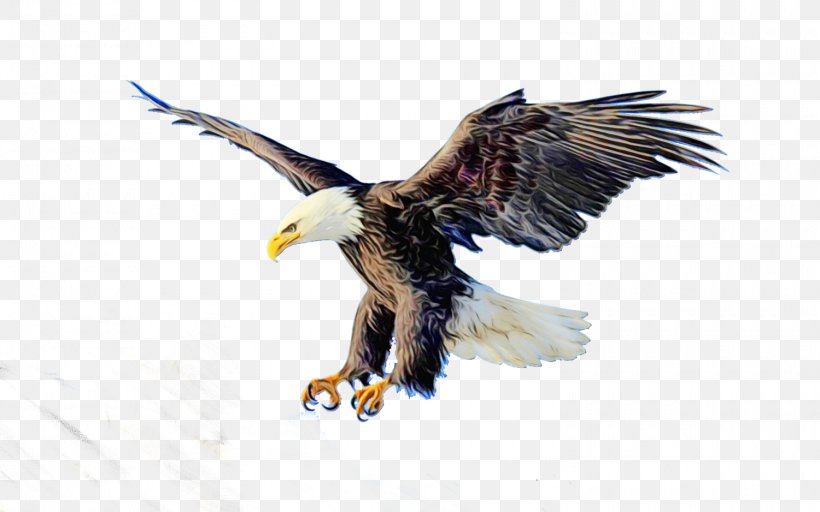 Eagle Logo, PNG, 1500x938px, Band Saws, Accipitridae, Bald Eagle, Beak, Bird Download Free