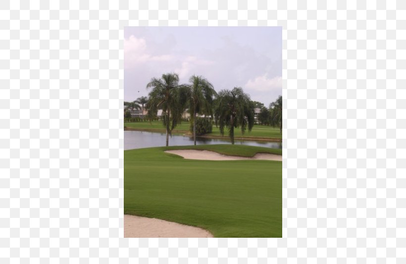 Golf Clubs Property Land Lot Recreation, PNG, 800x533px, Golf Clubs, Golf, Golf Club, Golf Course, Golf Equipment Download Free