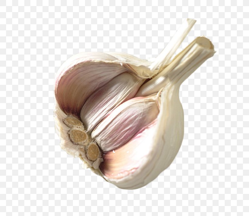 Garlic Shallot Vegetable Food, PNG, 783x713px, Garlic, Food, Fruit, Google Images, Grapefruit Download Free