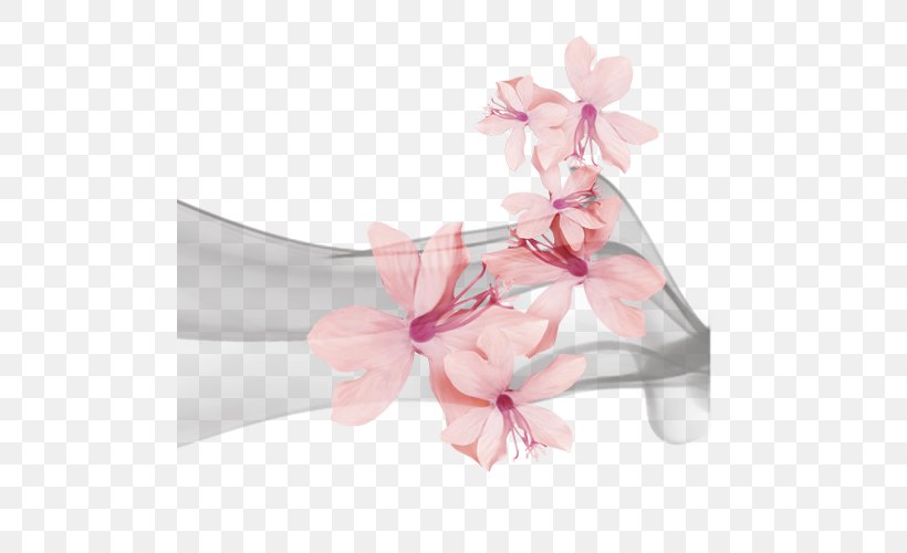 Apricot Plum Blossom, PNG, 500x500px, Apricot, Cherry, Cherry Blossom, Dried Apricot, Flower Download Free