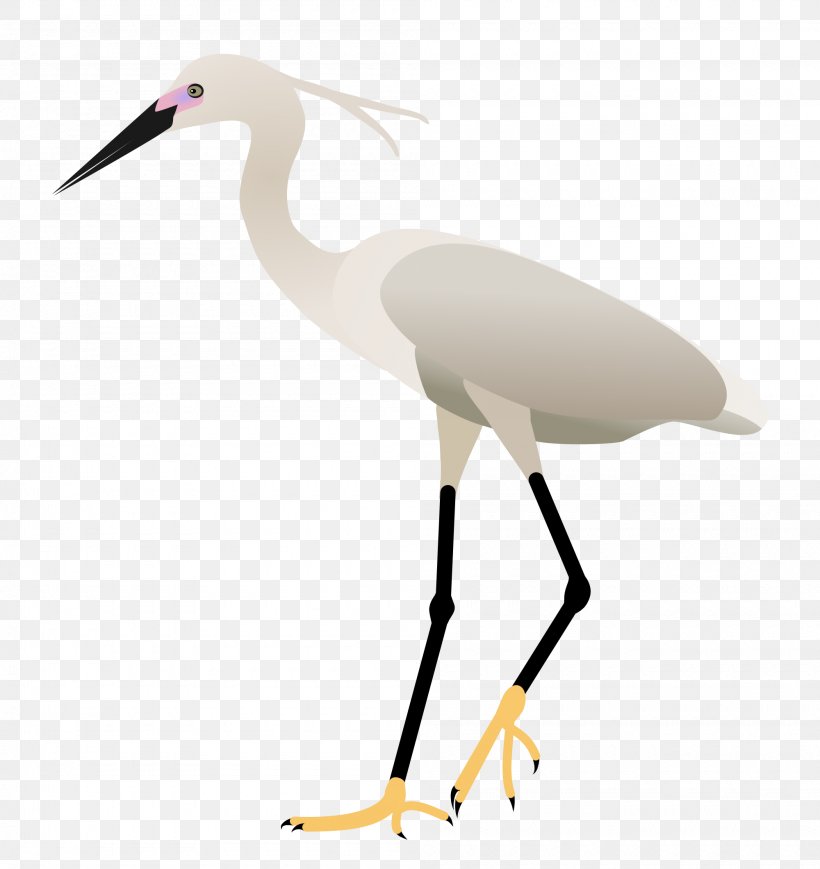 Bird Egret Pelican White Stork Crane, PNG, 2000x2121px, Bird, Ardea, Beak, Child, Ciconiiformes Download Free