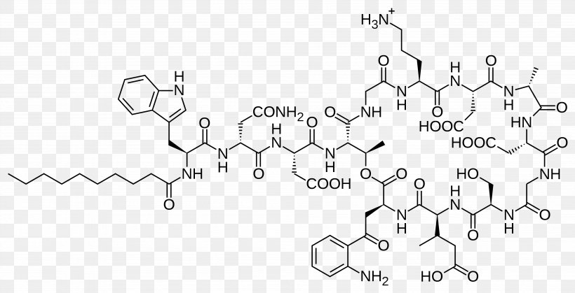 Daptomycin Antimicrobial Peptides Lipopeptide Antibiotics, PNG, 3793x1940px, Daptomycin, Antibiotics, Antimicrobial, Antimicrobial Peptides, Antimicrobial Resistance Download Free