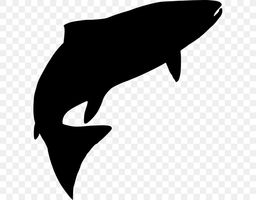 Fin Bottlenose Dolphin Cetacea Whale Dolphin, PNG, 605x640px, Fin, Blue Whale, Bottlenose Dolphin, Bowhead, Cetacea Download Free