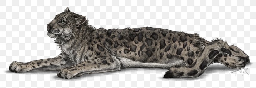 Whiskers Cat Snow Leopard Dog, PNG, 1024x355px, Whiskers, Animal, Animal Figure, Big Cat, Big Cats Download Free