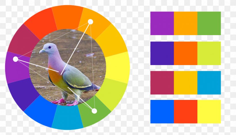 Analogous Colors Color Scheme Color Theory Graphic Design, PNG, 874x500px, Analogous Colors, Area, Beak, Color, Color Scheme Download Free
