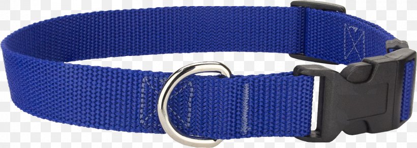 Dog Collar Dog Collar Fashion Watch Strap, PNG, 1567x558px, Collar, Archive File, Blue, Cobalt Blue, Dog Download Free