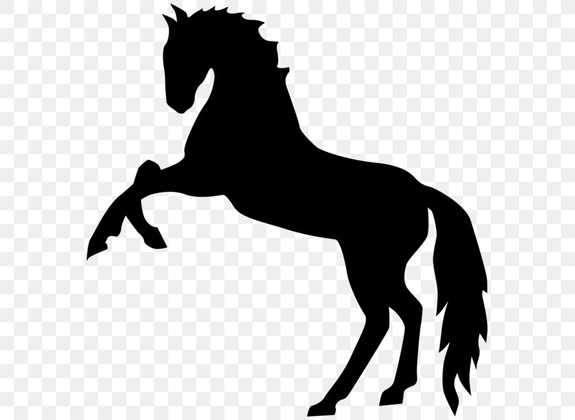 Mustang Stallion American Paint Horse Standing Horse Clip Art, PNG, 581x600px, Mustang, American Paint Horse, Black And White, Bridle, Collection Download Free