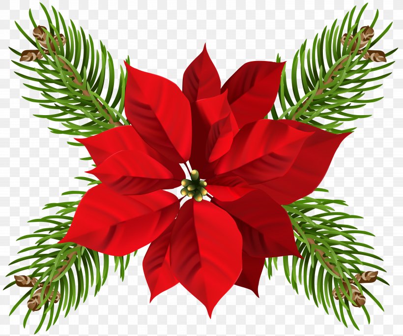 Poinsettia Flower Christmas Clip Art, PNG, 6000x5003px, Poinsettia, Candle, Christmas, Christmas Decoration, Christmas Lights Download Free