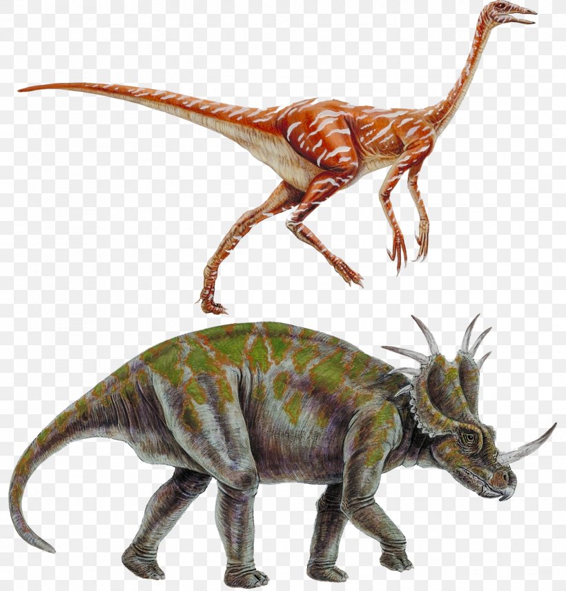 Styracosaurus Tyrannosaurus Ornithomimus Dinosaur Ceratopsia, PNG, 1419x1483px, Styracosaurus, Ceratopsia, Ceratopsidae, Cretaceous, Dinosaur Download Free