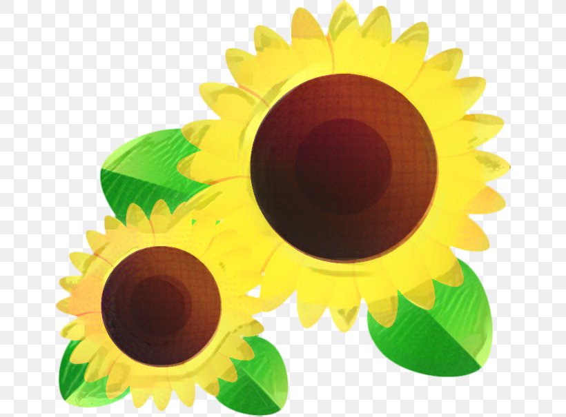 Sunflower Cartoon, PNG, 661x605px, Sunflower, Flower, Green, Plant, Yellow Download Free