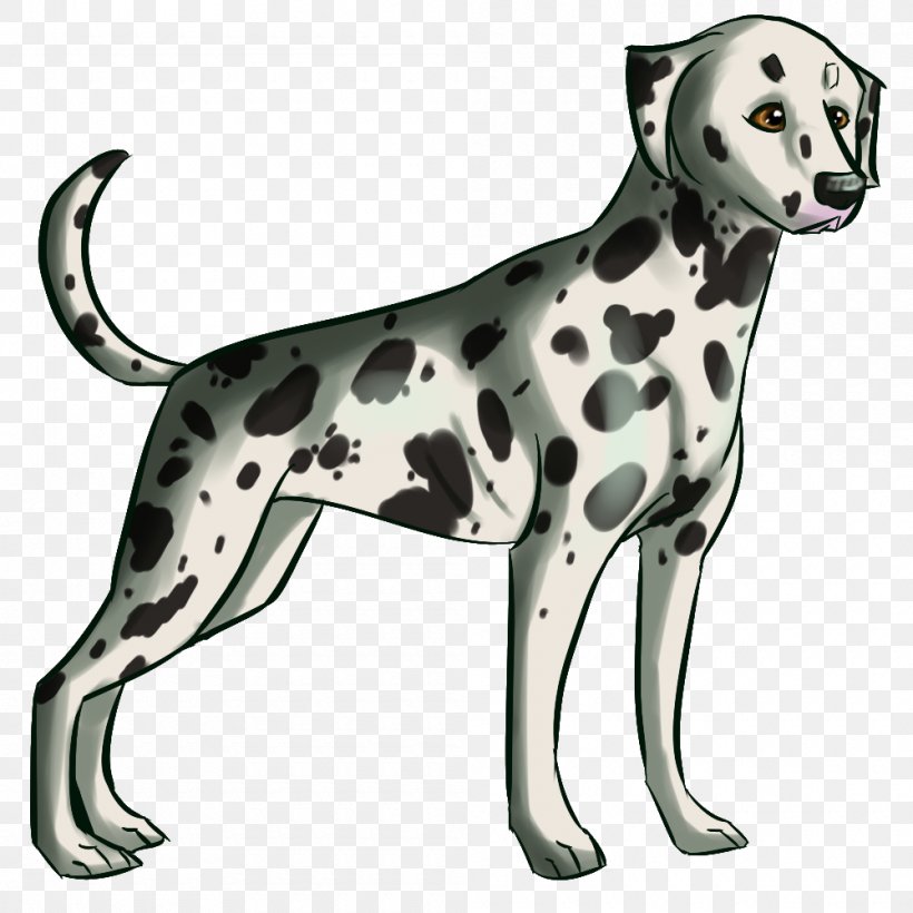Dalmatian Dog Dog Breed Companion Dog Non-sporting Group Paw, PNG, 1000x1000px, Dalmatian Dog, Breed, Carnivoran, Companion Dog, Dalmatian Download Free