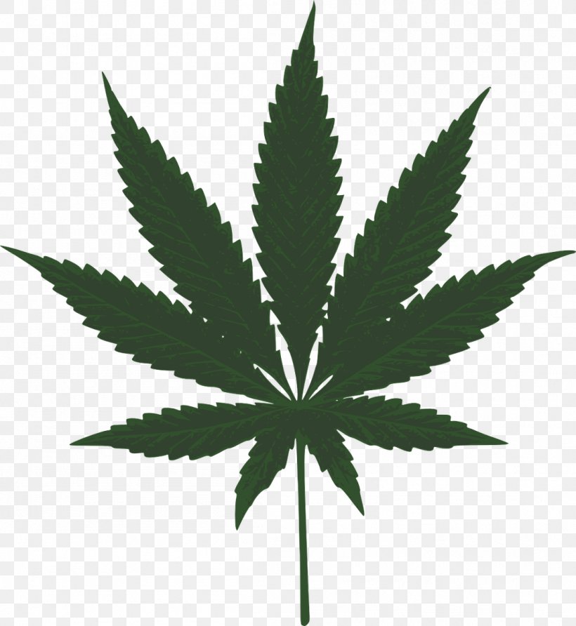 Hash, Marihuana & Hemp Museum Medical Cannabis Leaf Clip Art, PNG, 1103x1200px, Hash Marihuana Hemp Museum, Cannabis, Cannabis Social Club, Hemp, Hemp Family Download Free