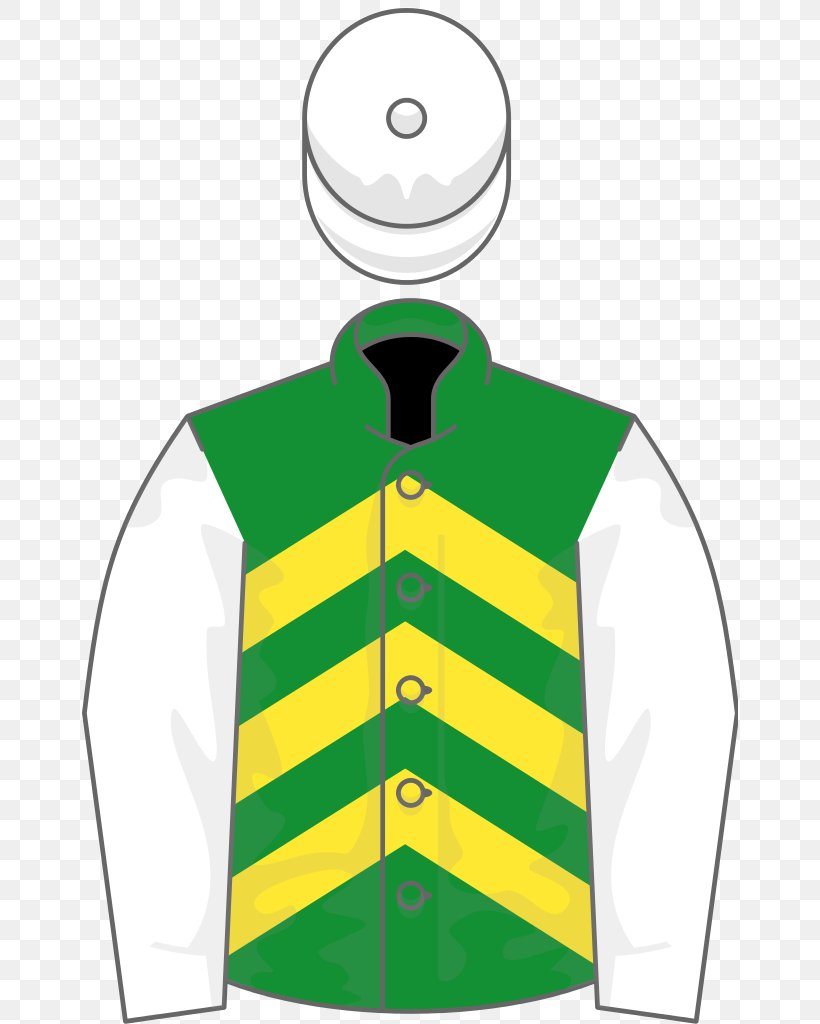 Sleeve Green Pertemps Final Liverpool Hurdle Stayers' Hurdle, PNG, 656x1024px, Sleeve, Area, Beige, Black, Blue Download Free