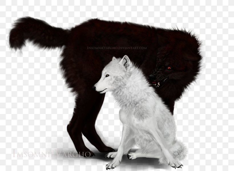 Gray Wolf Fur White Wildlife Fox News, PNG, 800x600px, Gray Wolf, Black And White, Carnivoran, Dog Like Mammal, Fox Download Free