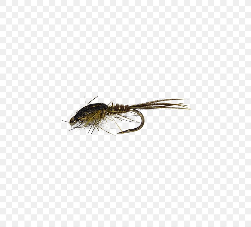 Insect Artificial Fly, PNG, 555x741px, Insect, Artificial Fly, Fishing Bait, Fly, Invertebrate Download Free
