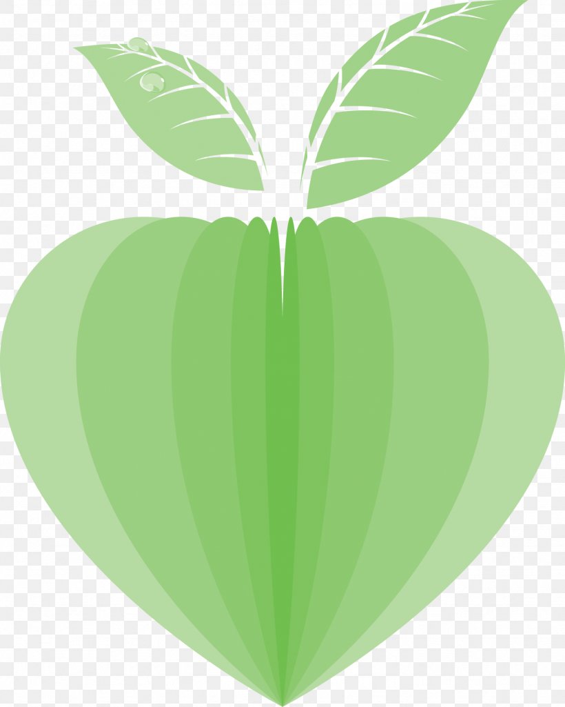 Leaf Image Design, PNG, 1333x1667px, Leaf, Carambola, Geometric Shape, Green, Plant Download Free
