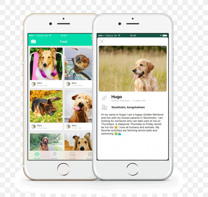 Smartphone Dog Breed Multimedia, PNG, 2196x2081px, Smartphone, Breed, Communication Device, Dog, Dog Breed Download Free