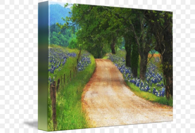 Watercolor Painting Gallery Wrap Canvas Nature Story, PNG, 650x560px, Painting, Art, Canvas, Ecosystem, Field Download Free
