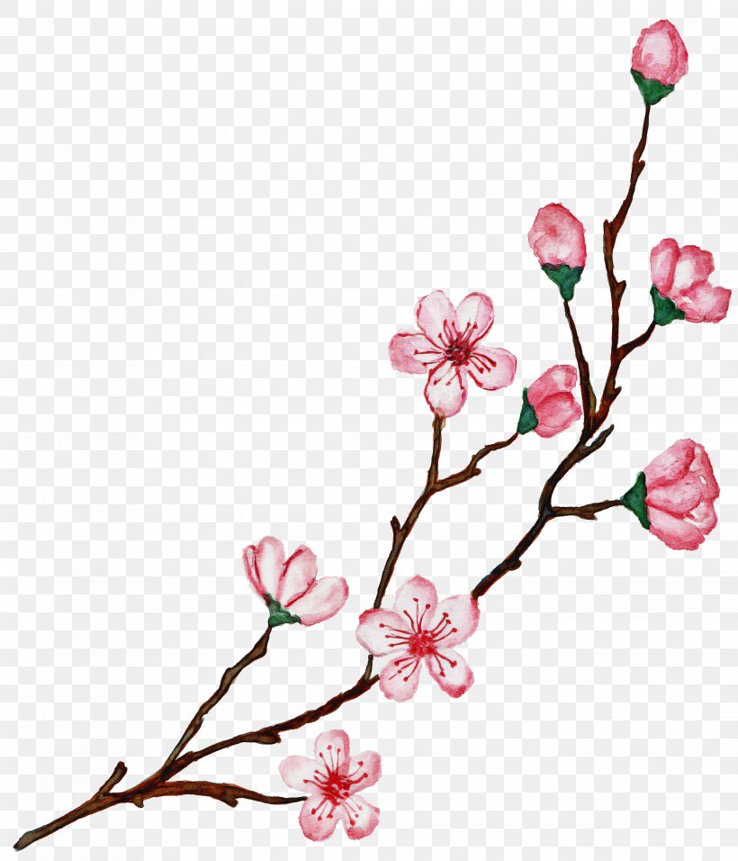 Wedding Spring Flowers, PNG, 2688x3136px, Dipsy, Blossom, Branch, Bud, Cherry Blossom Download Free