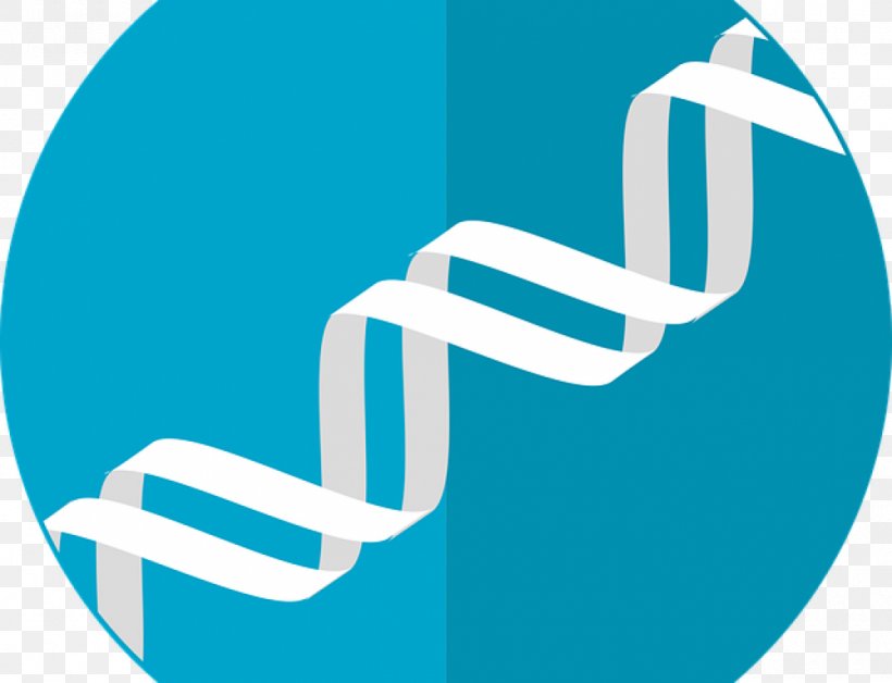 Genetics Gene Therapy Genetic Testing, PNG, 1000x766px, Genetics, Aqua, Blue, Brand, Cancer Download Free