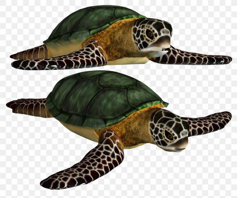 Green Sea Turtle, PNG, 1024x858px, Turtle, Box Turtle, Emydidae, Fauna, Green Sea Turtle Download Free