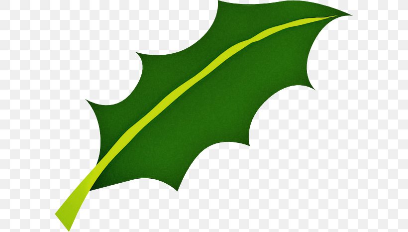 Holly, PNG, 600x466px, Green, Holly, Leaf, Logo, Plant Download Free
