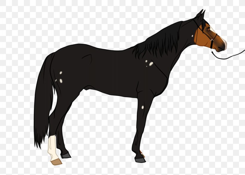 Mustang Stallion Pony Mare Rein, PNG, 1024x730px, Mustang, Animal Figure, Bridle, Colt, Dog Harness Download Free
