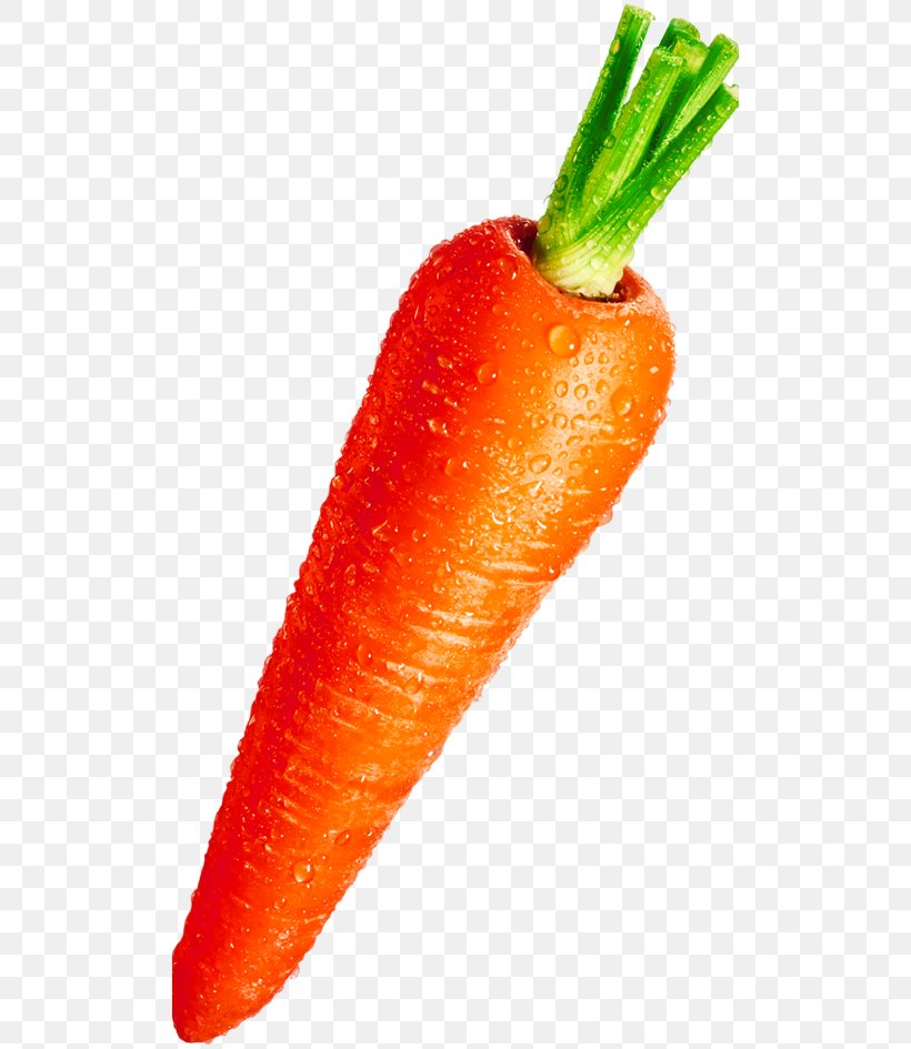 Baby Carrot Gravy Vegetable Water, PNG, 510x945px, Carrot, Baby Carrot, Daucus Carota, Designer, Food Download Free