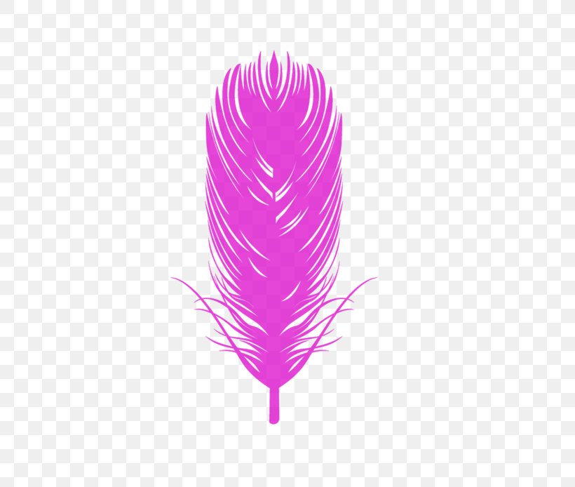 Bird Eagle Feather Law Euclidean Vector, PNG, 600x694px, Bird, Eagle Feather Law, Feather, Magenta, Pink Download Free