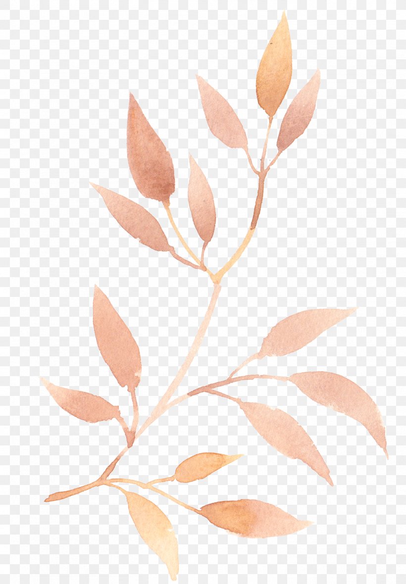 Leaf Drawing Clip Art Branch, PNG, 1459x2101px, Leaf, Art, Branch, Drawing, Flower Download Free