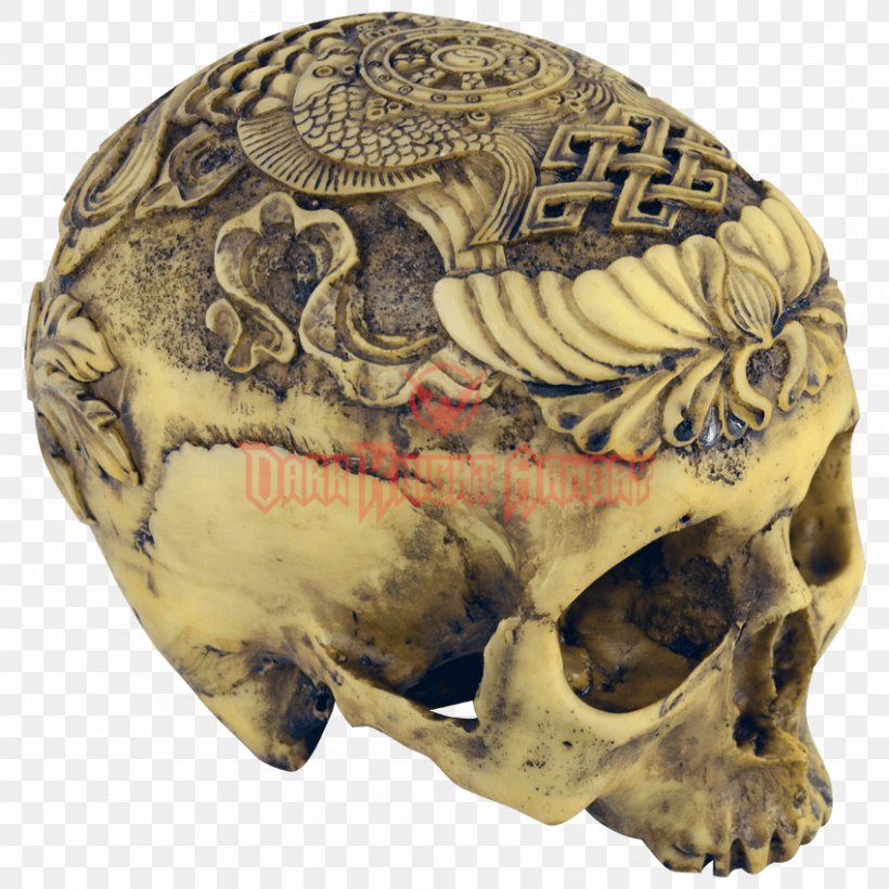 Human Skull Anatomy Skeleton Skulls Unlimited International, PNG, 850x850px, Skull, Anatomy, Bone, Dog Anatomy, Face Download Free