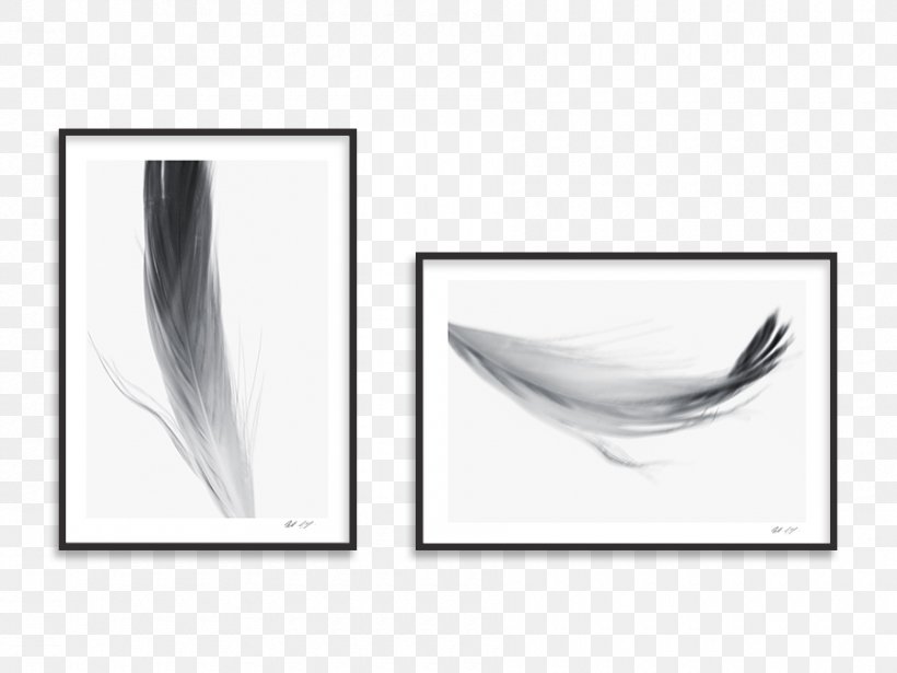 Rectangle Feather Product Design, PNG, 900x675px, Rectangle, Black And White, Feather, White, Wing Download Free