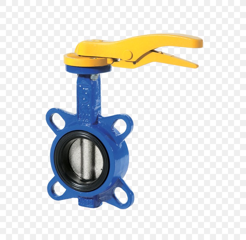 Butterfly Valve Flange Tap Pressione Nominale, PNG, 800x800px, Butterfly Valve, Ball Valve, Cast Iron, Ductile Iron, Flange Download Free