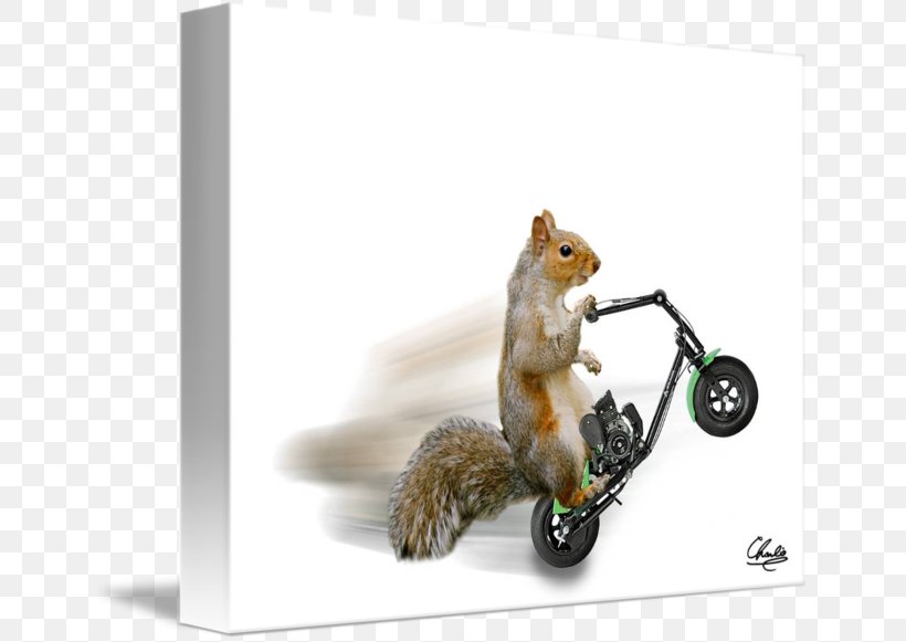 Chipmunk Squirrel 02021, PNG, 650x581px, Chipmunk, Fauna, Mammal, Rodent, Squirrel Download Free