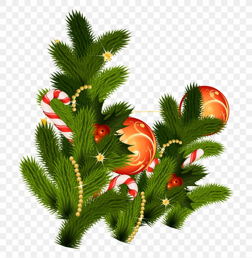 Christmas Tree, PNG, 2110x2166px, Christmas, Christmas Decoration, Christmas Ornament, Christmas Tree, Conifer Download Free