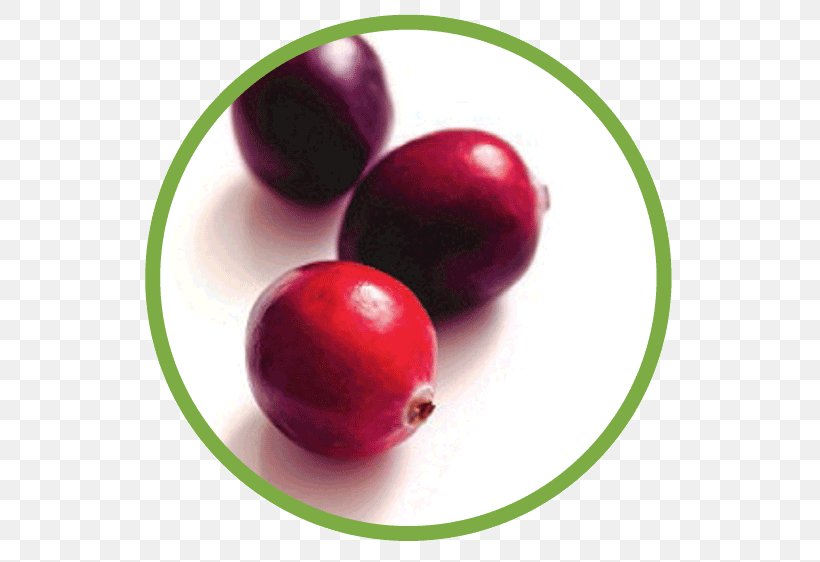 Cranberry Juice Cranberry Juice Food, PNG, 562x562px, Juice, Berry, Blueberry, Concentrate, Cranberry Download Free