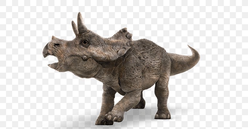 Baby Triceratops Tyrannosaurus Jurassic Park Dinosaur, PNG, 595x426px, Triceratops, Baby Triceratops, Colin Trevorrow, Dinosaur, Horn Download Free