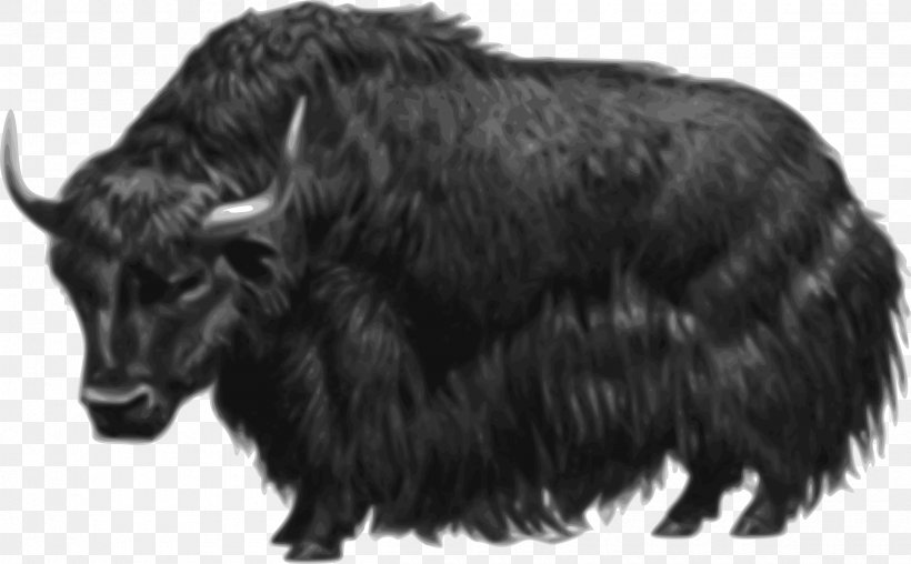 Domestic Yak Drawing Clip Art, PNG, 2400x1488px, Domestic Yak, Black And White, Bull, Cattle Like Mammal, Cow Goat Family Download Free