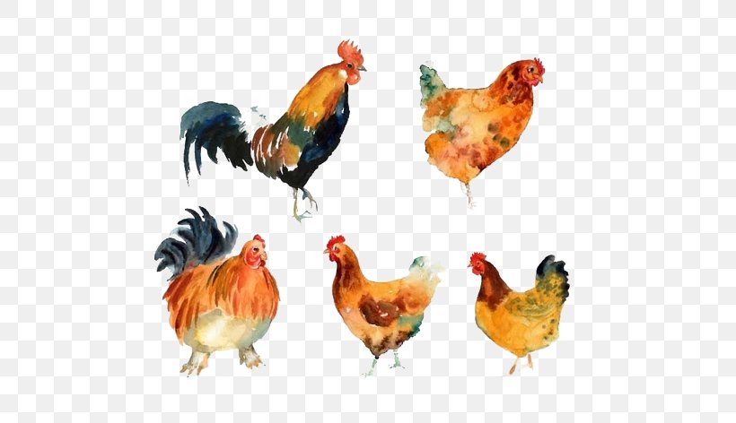 Rooster Chicken Meat Beak Animal, PNG, 600x472px, Rooster, Animal, Beak, Bird, Chicken Download Free