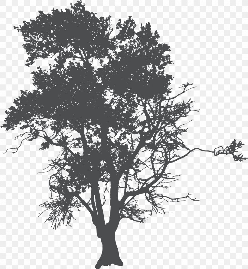 Tree Silhouette Poster, PNG, 1756x1911px, Tree, Black And White, Branch, First Assembly Of God, Monochrome Download Free
