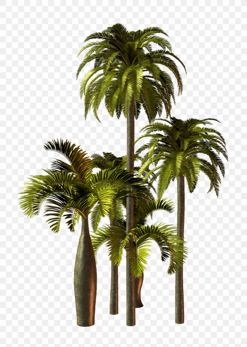Asian Palmyra Palm Palm Trees Flowerpot Plants, PNG, 939x1317px, Asian Palmyra Palm, Areca Nut, Arecales, Attalea Speciosa, Babassu Download Free