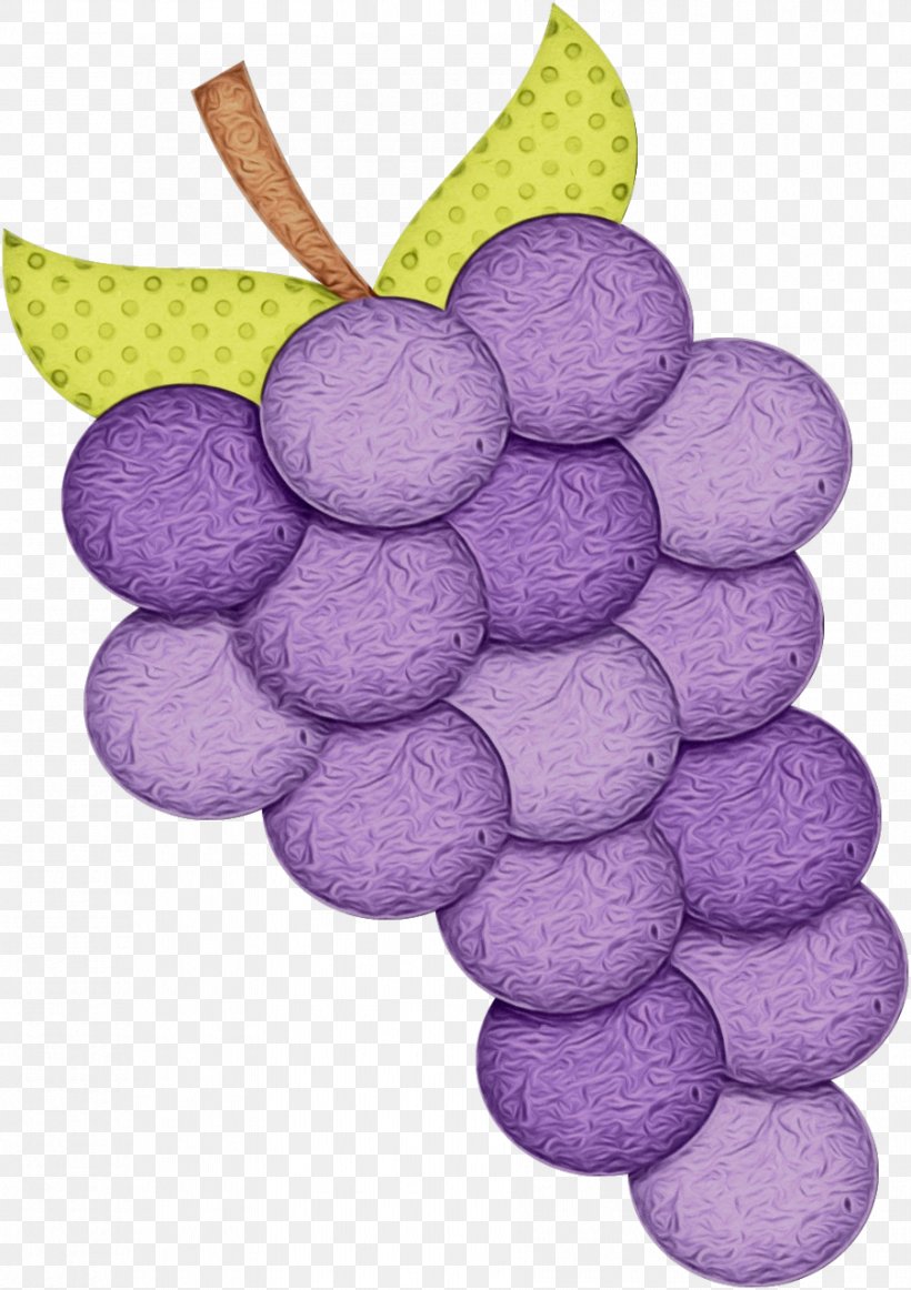 Grape Cartoon, PNG, 903x1280px, Grape, Fruit, Grapevine Family, Plant,  Purple Download Free